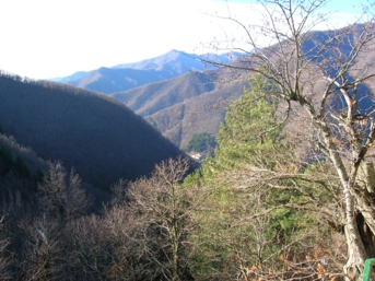  Image name: 29 Molino.JPG 
 width: 343 pixel 
 height: 257 pixel 
 Size: 89664 bytes 
 Click to enlarge 